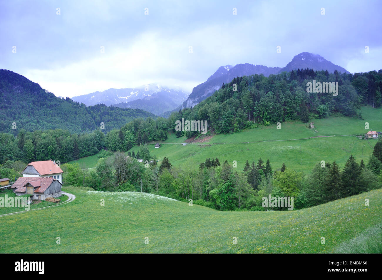 Swiss Alps Panorama Switzerland Stock Photo Alamy Swiss Alps Panorama Switzerland Stock Photo Alamy