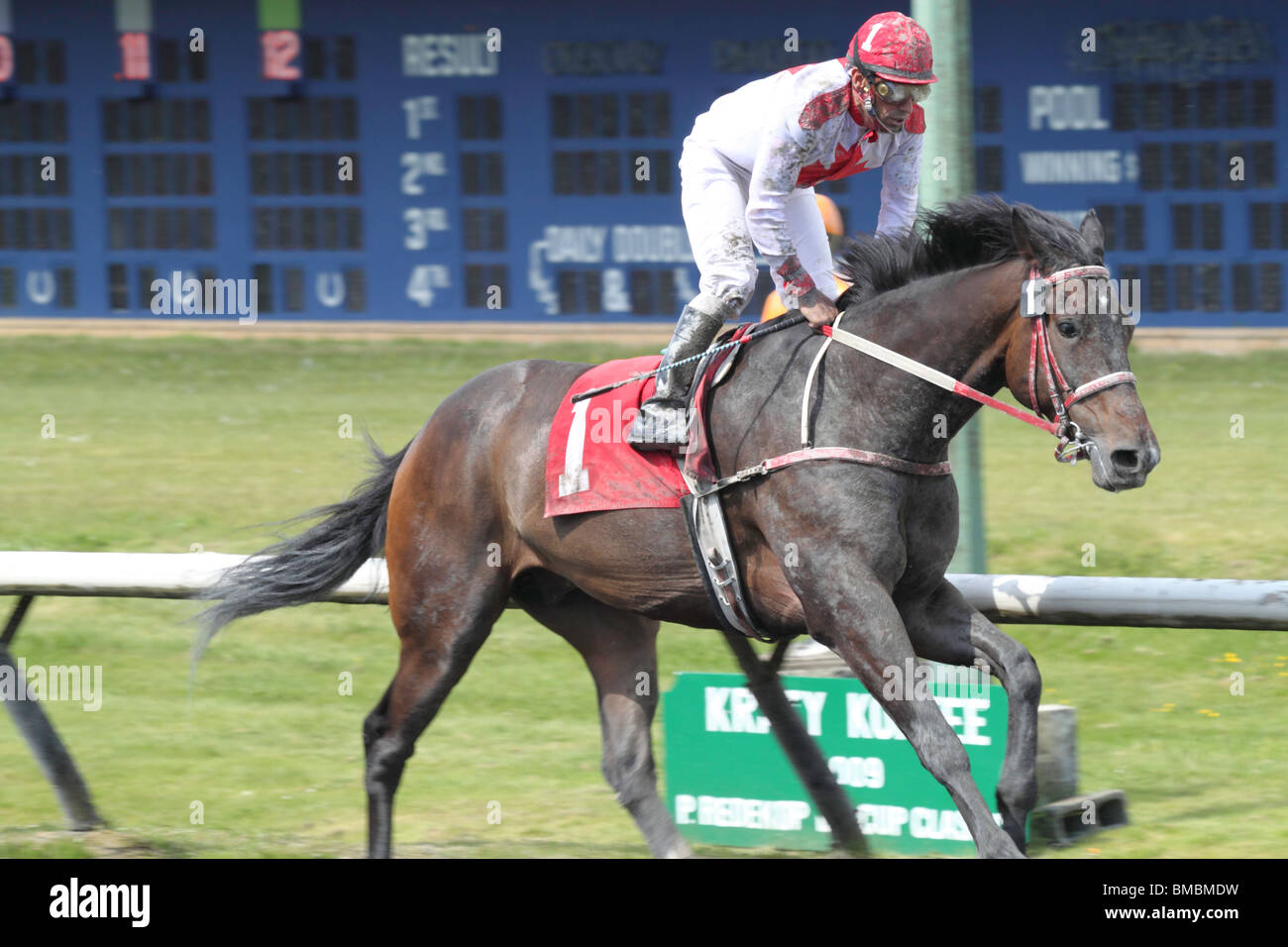 Horse race finish line hires stock photography and images Alamy