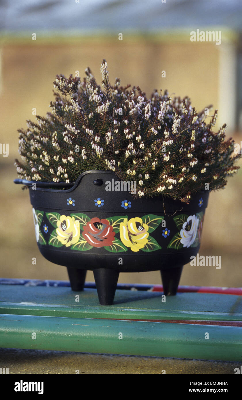 Blooming heather in cast iron flowerpot decorated with roses, Braunston ...