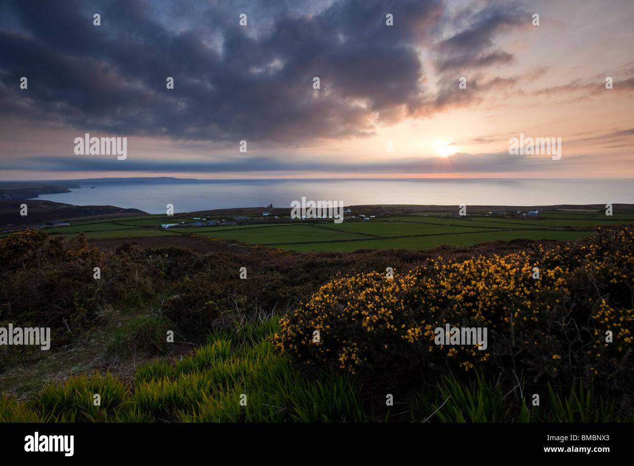Sunset from St.Agnes beacon with flowering gorse (Ulex europaeus) in the foreground. Stock Photo