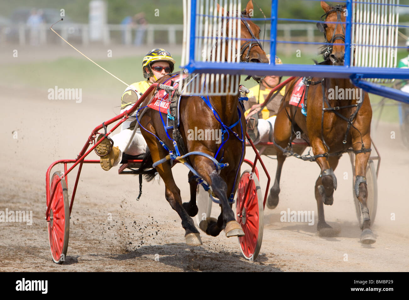 Trotting racing hi-res stock photography and images - Alamy