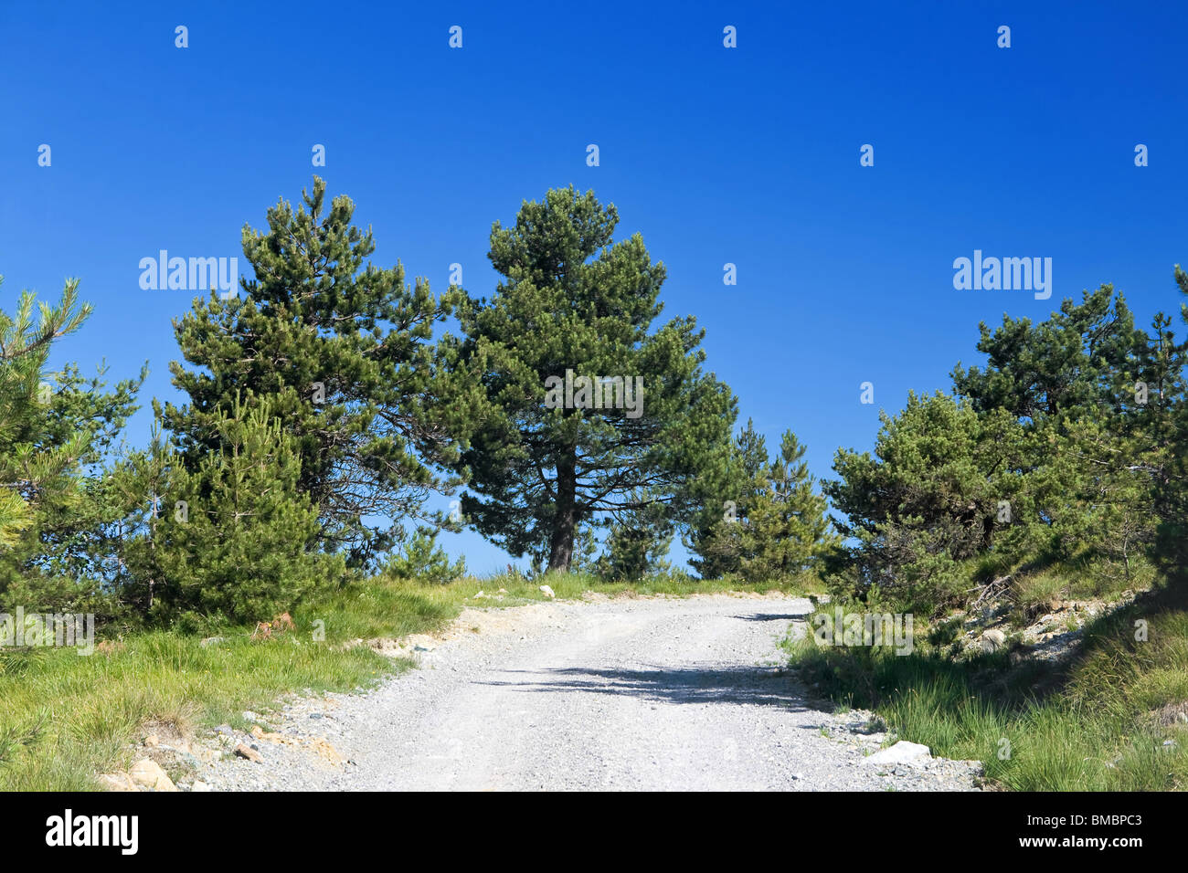 Dirty mountain road under bright blue sky with plants and trees Stock Photo