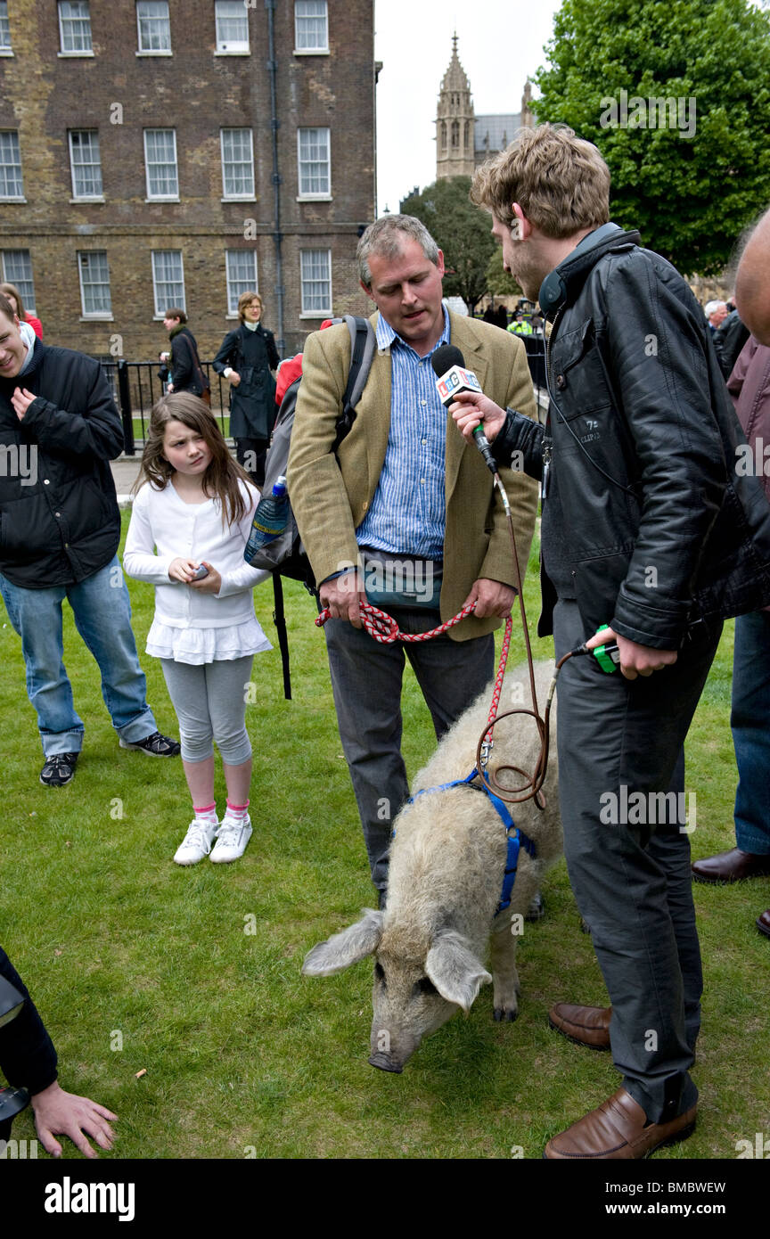 Steve Howell  being interviewed about his woolly pig, Scarlett Stock Photo