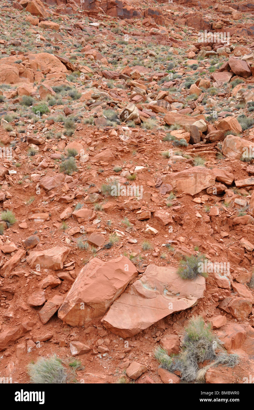 Soil in Arizona, USA Stock Photo Alamy