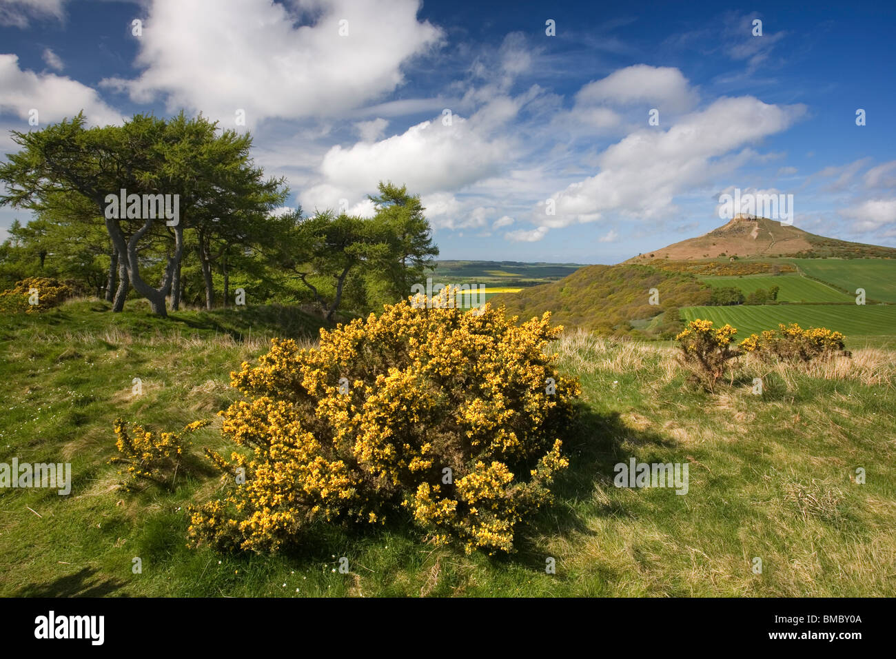 Roseberry Topping, one of the Cleveland Hills, seen here on a clear Spring day, near Great Ayton, North Yorkshire, UK Stock Photo