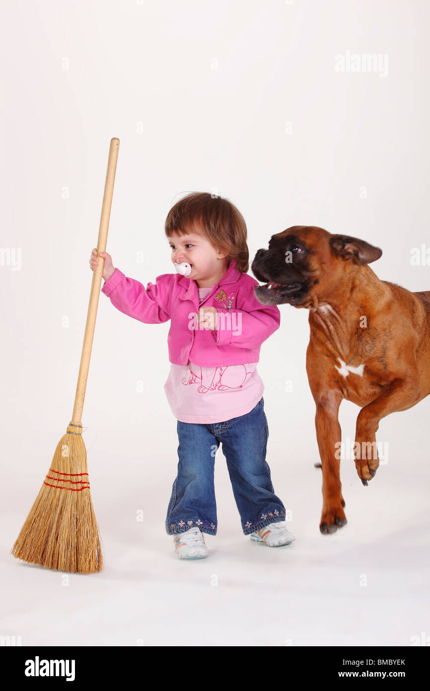 Little Girl and German Boxer / broom Stock Photo