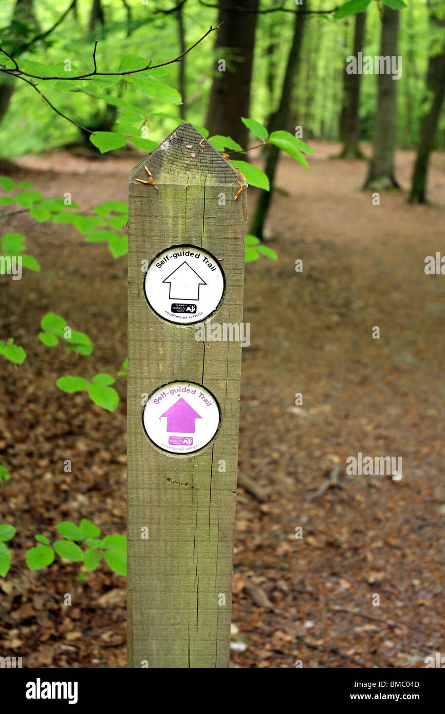 Self-guided Trail sign in woodland on the North Downs, Surrey, England, UK. Stock Photo