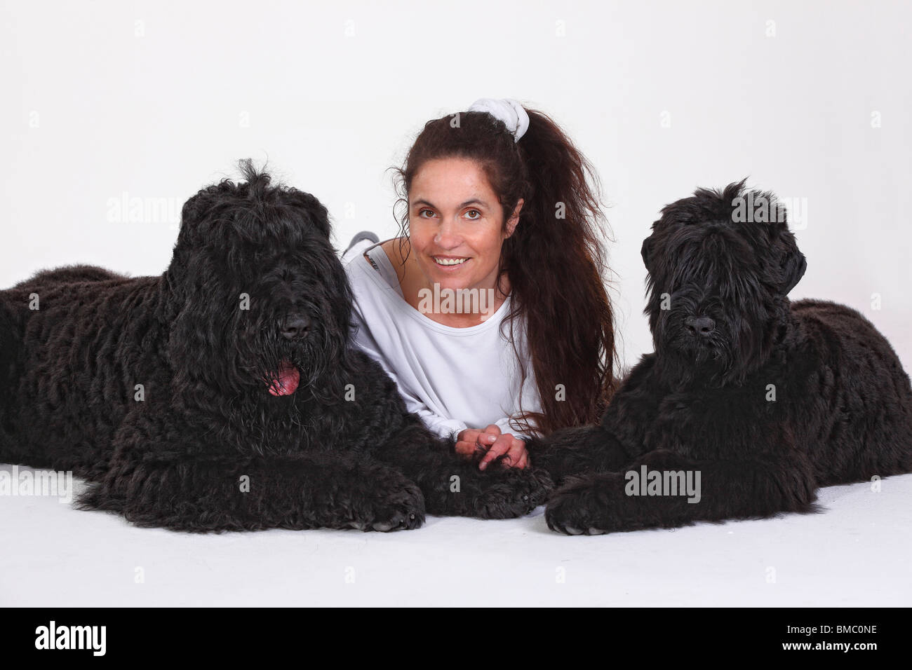Woman and Black Russian Terrier, male with young, 5 months Stock Photo