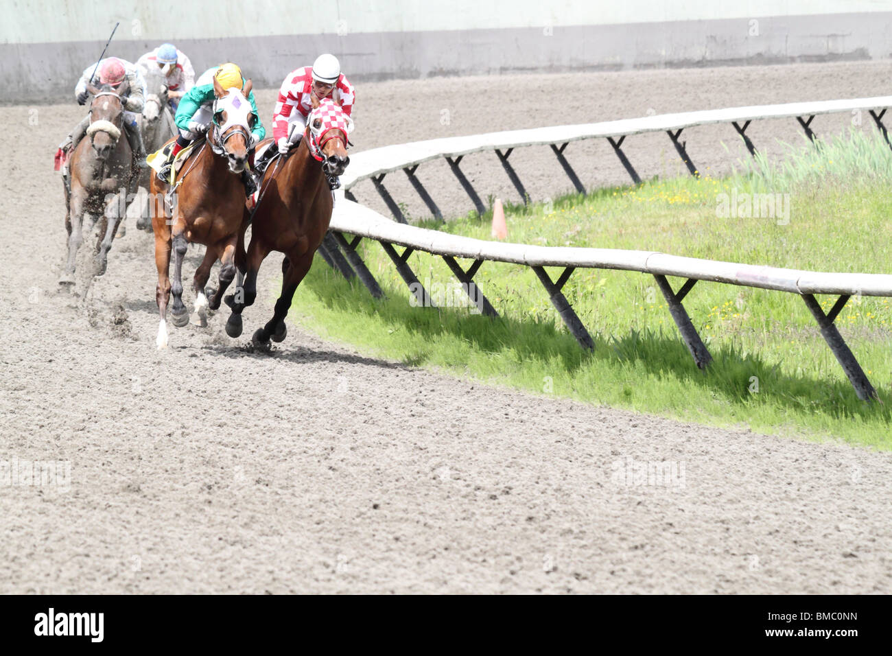 Sport racing action running horse jockey whip hires stock photography
