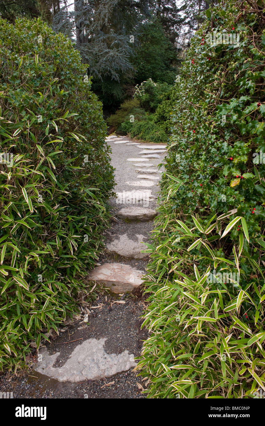 Kubota Garden Seattle Washington State USA with path through the gardens. Stock Photo