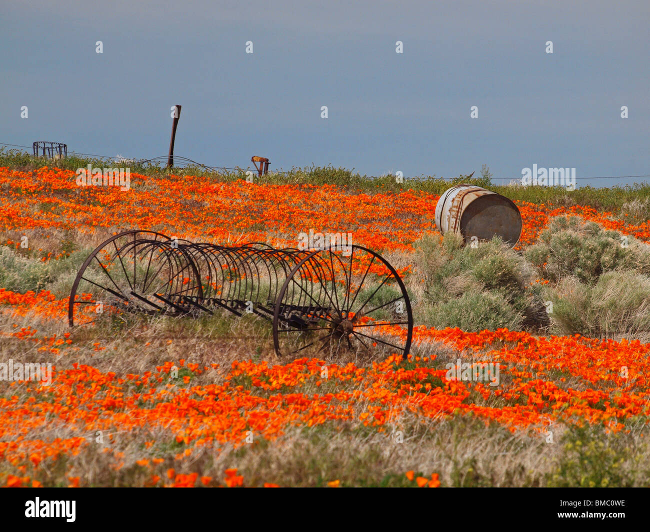Old farm equipment lie rusting in a field of wildflowers. Stock Photo