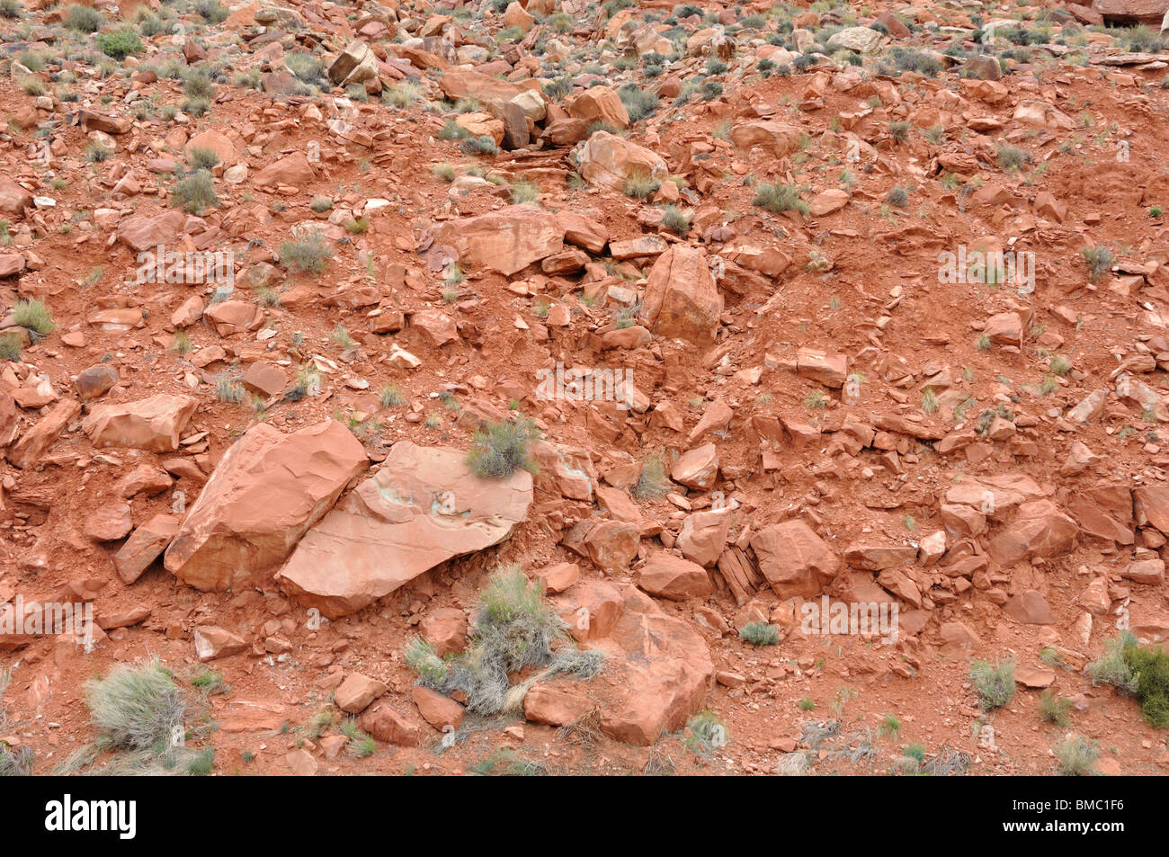 Red soil soil soil hi-res stock photography and images - Alamy