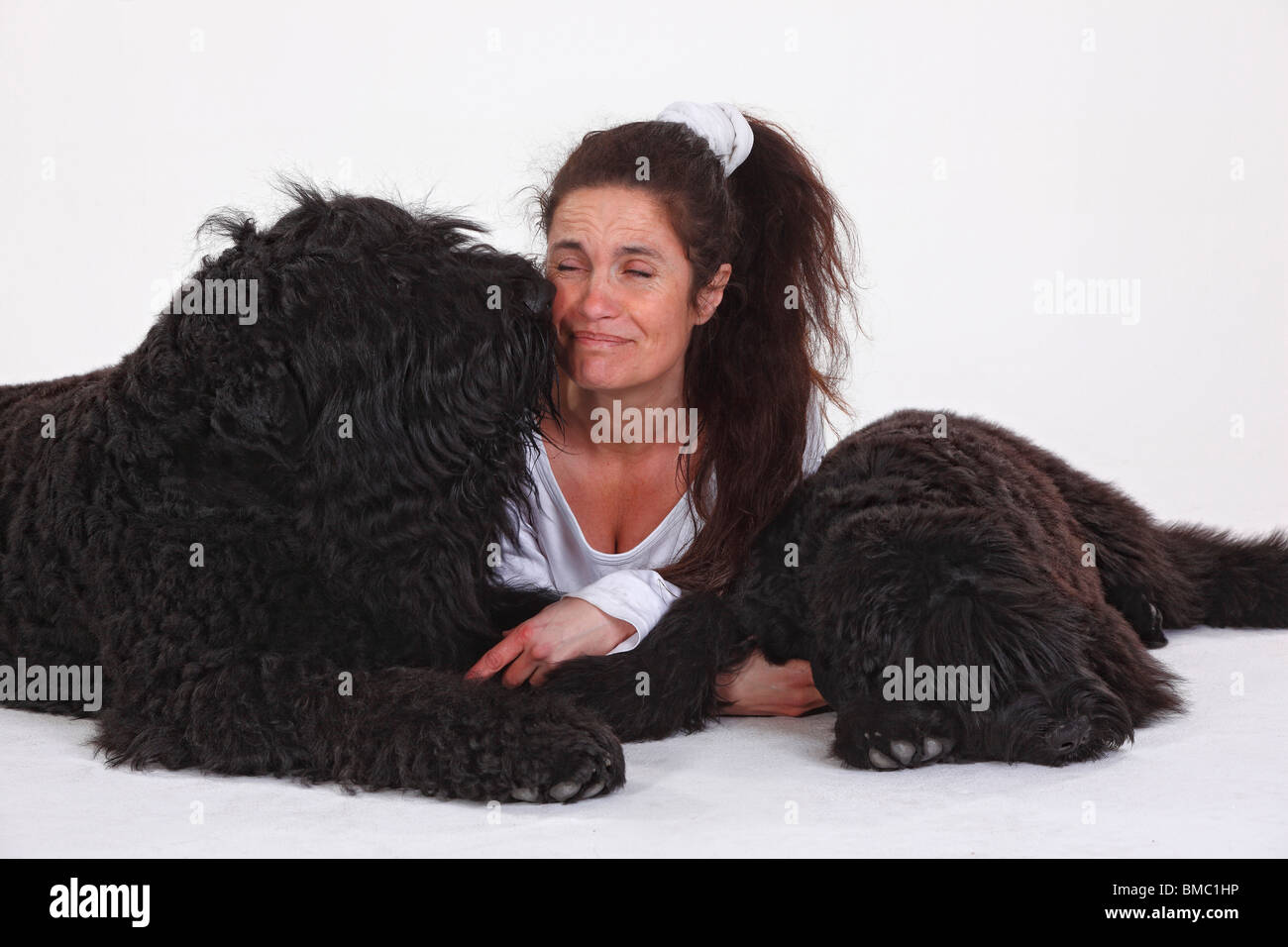 Woman and Black Russian Terrier, male with young, 5 months Stock Photo