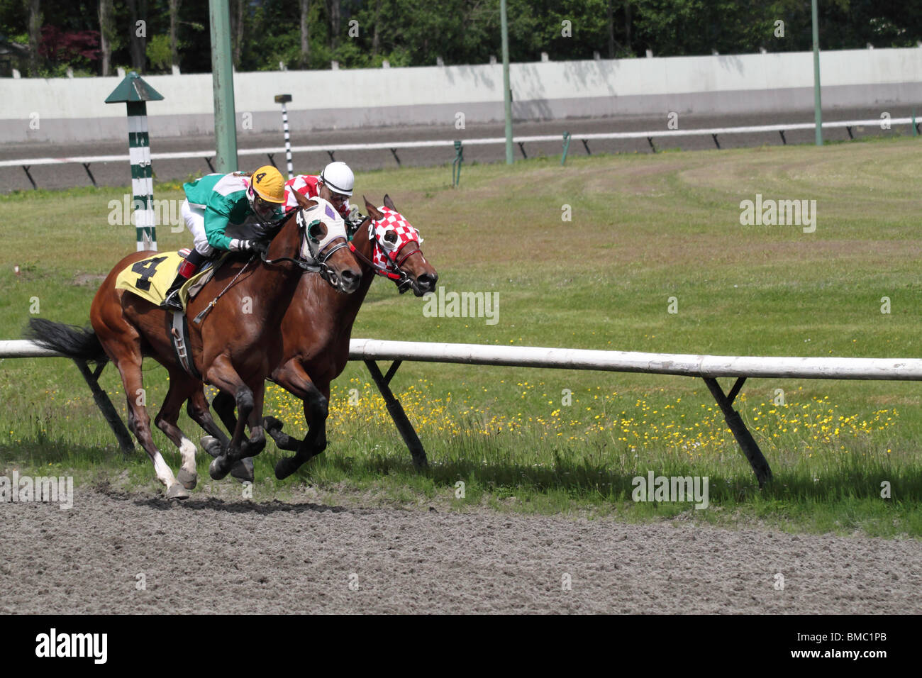 Action finish line horse racing jockey running sports winning hires