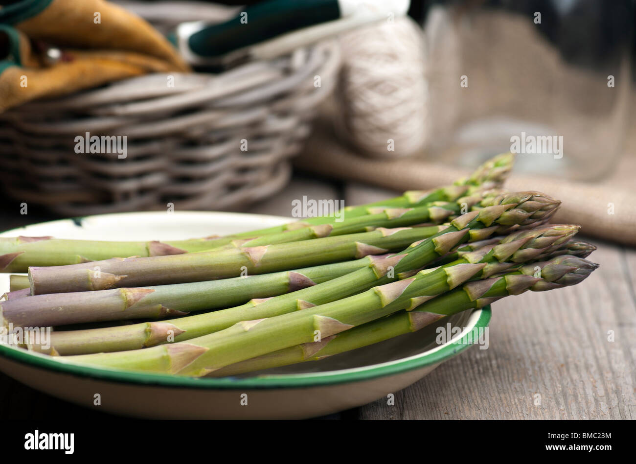 Fresh Homegrown Asparagus Stock Photo