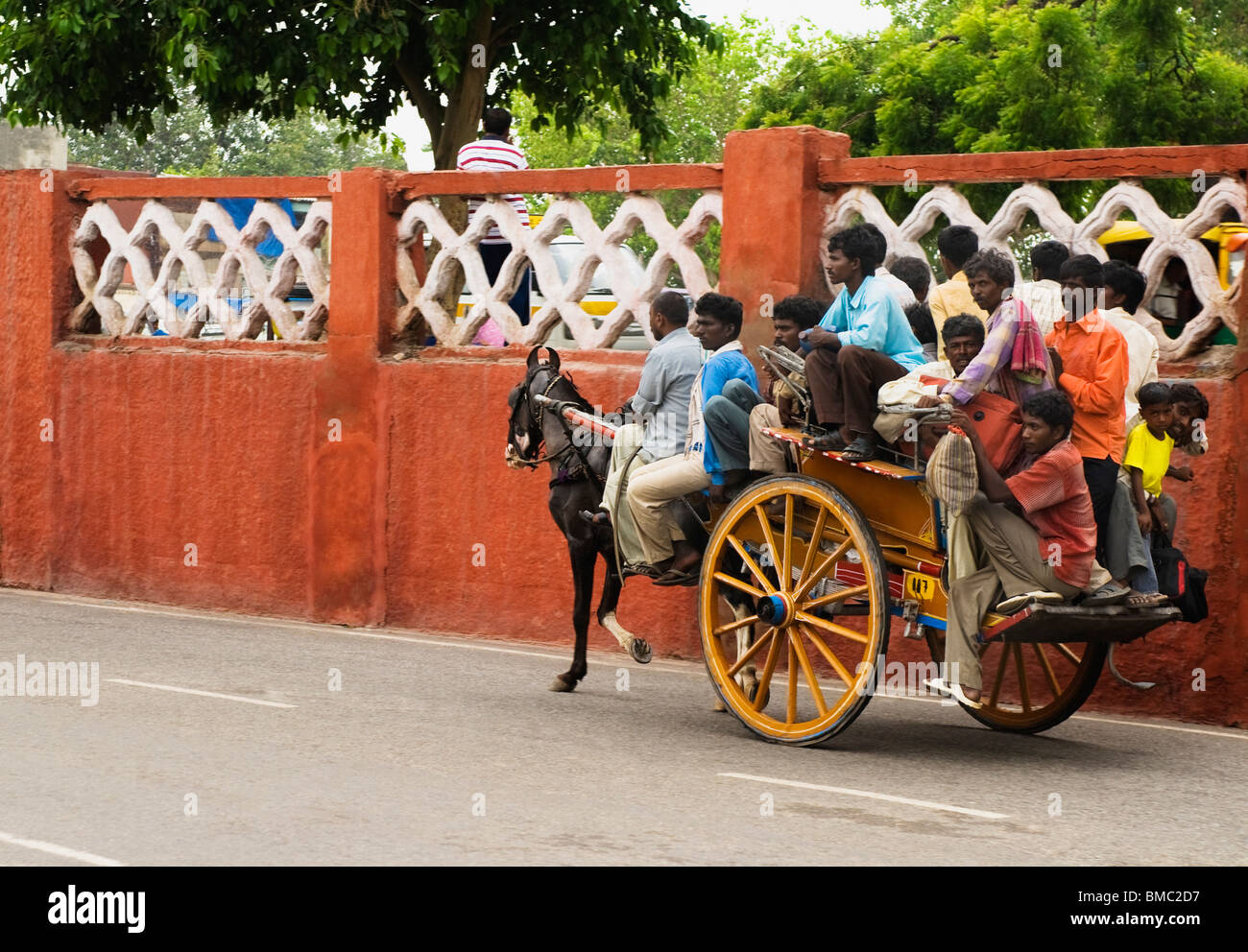 People riding a horse cart, New Delhi, India Stock Photo Alamy