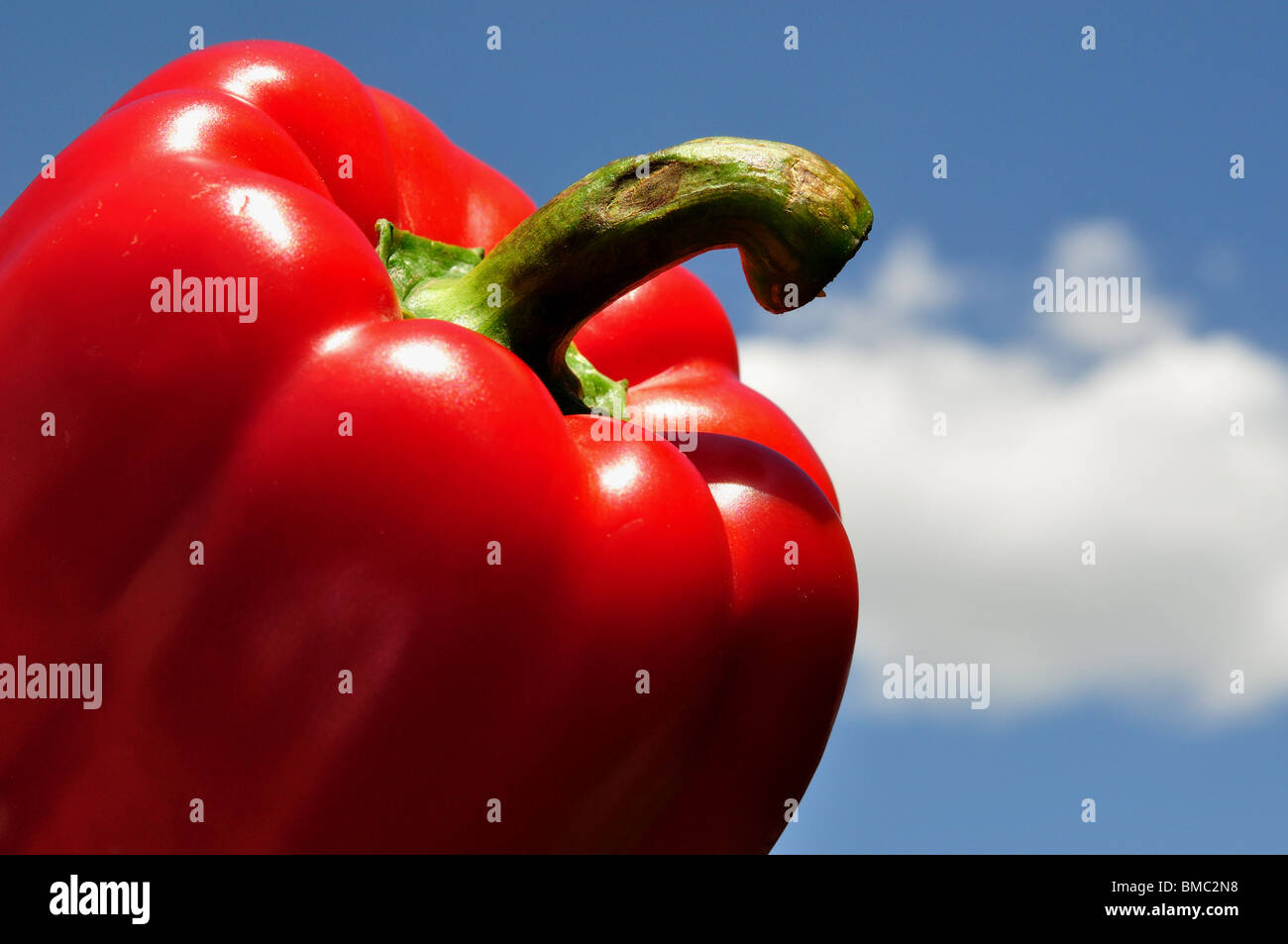 Red Bell Pepper and Sky Stock Photo Alamy