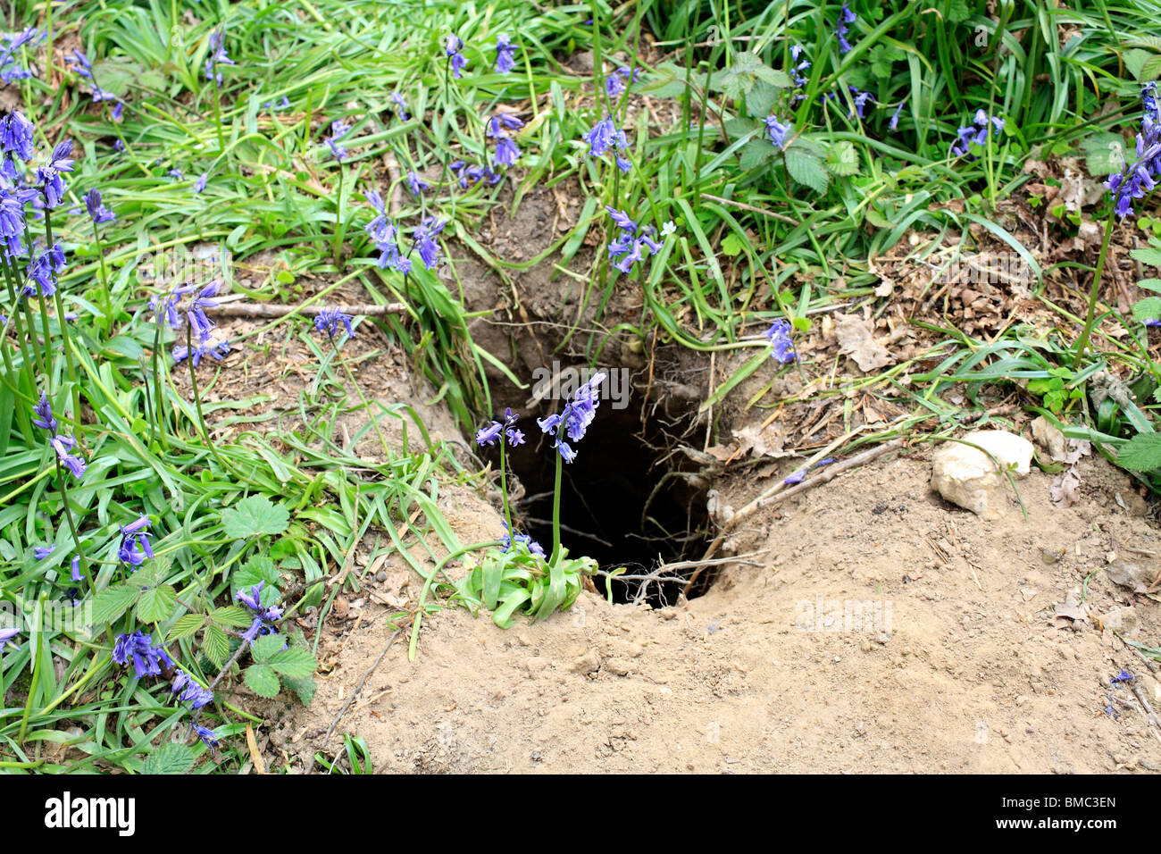 Fox Hole Stock Photos & Fox Hole Stock Images Alamy