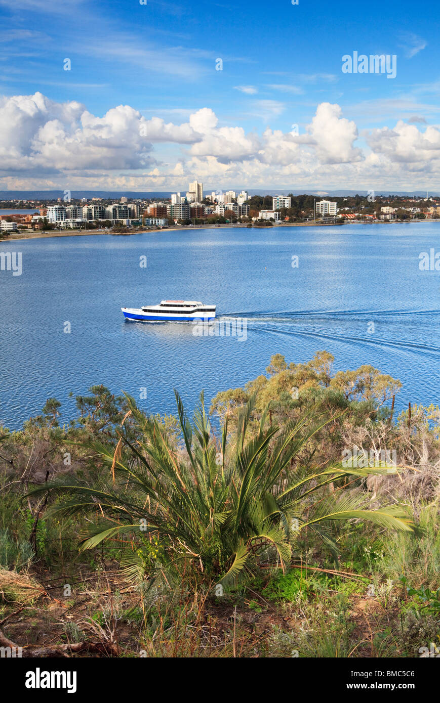 Ferry on the Swan River, with a Macrozamia fraseri plant in King's Park in the foreground. South Perth is in the distance. Stock Photo