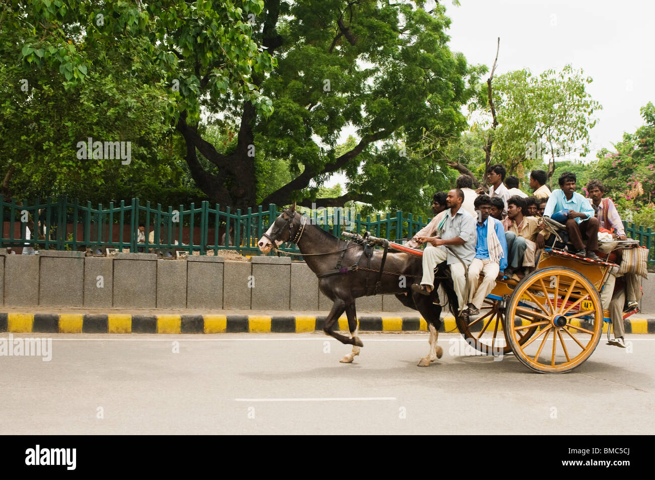 People riding a horse cart, New Delhi, India Stock Photo Alamy