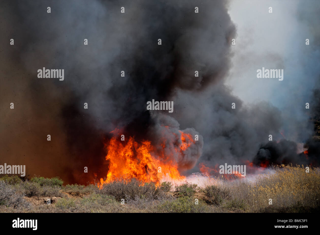 Fierce brushfire with flames and black smoke Stock Photo