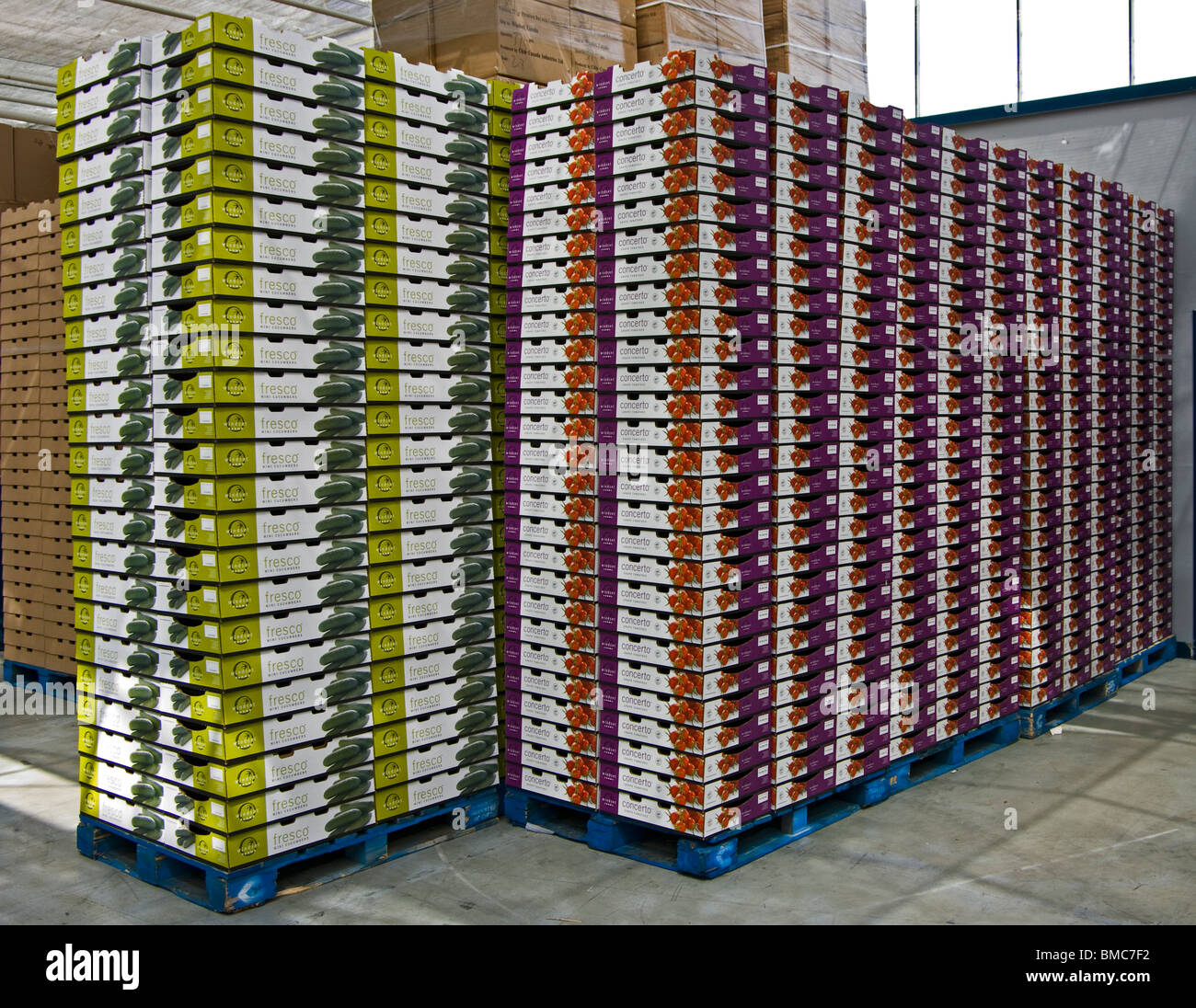 COLORFULL , BOXES , HOTHOUSE VEGETABLE BOXES Stock Photo