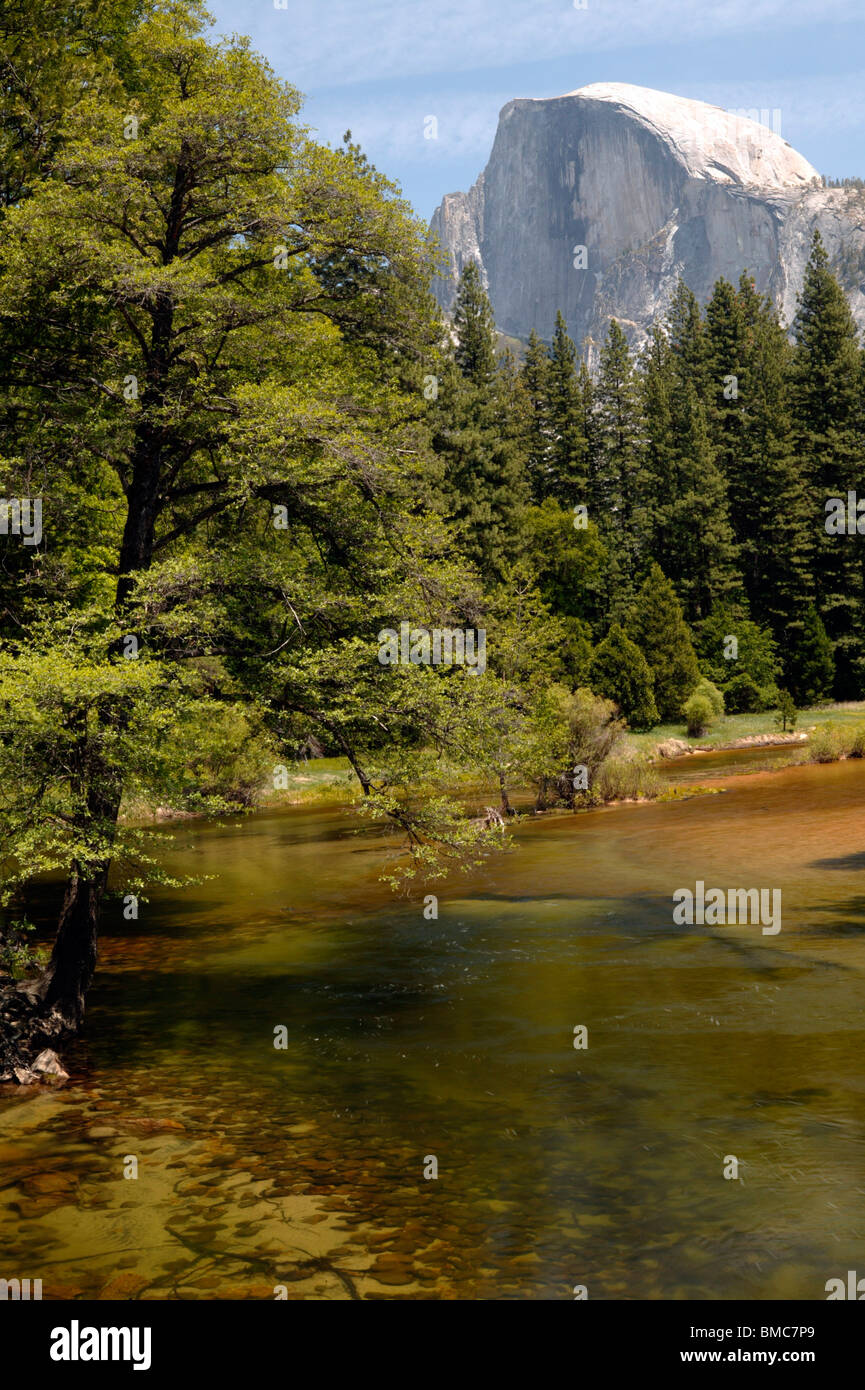 View of Half Dome in Yosemite National Park Stock Photo - Alamy