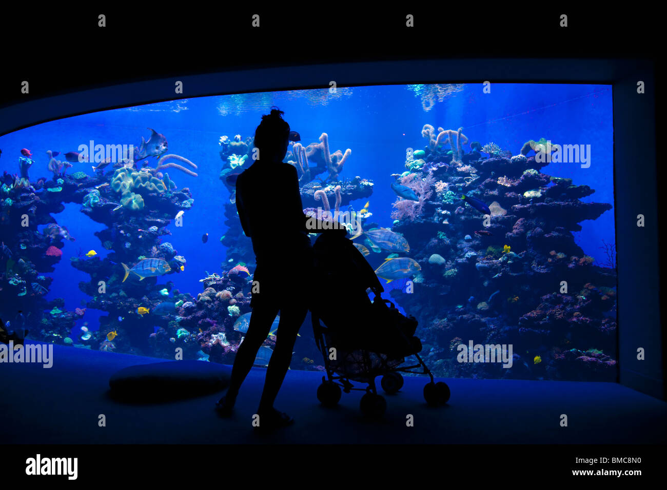 Palma Aquarium interior with mother and pushchair Playa de Palma Majorca Mallorca Spain Europe EU Stock Photo