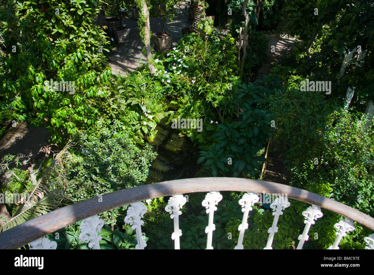 The Temperate House Kew Gardens London England Stock Photo - Alamy