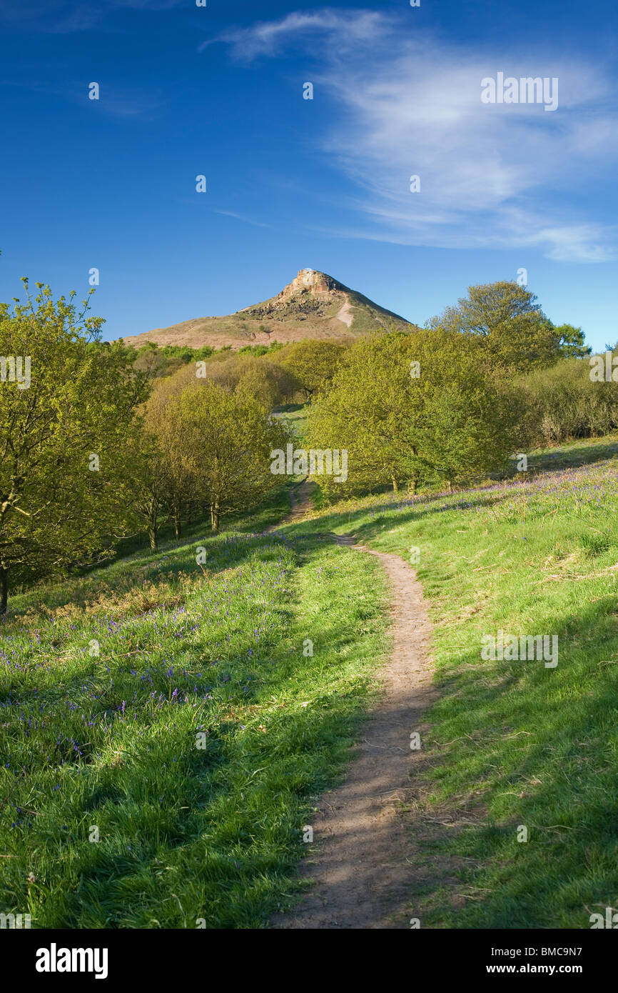 Roseberry Topping, one of the Cleveland Hills, seen here on a clear Spring day, near Great Ayton, North Yorkshire, UK Stock Photo