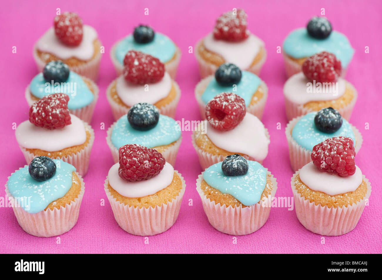 Colourful blueberry and raspberry mini fruit cupcakes on a pink ...