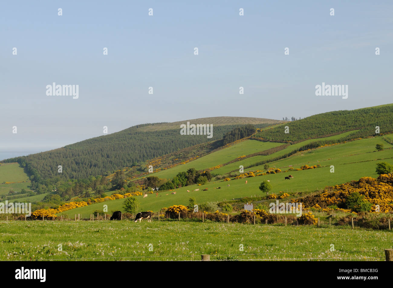 Irish countryside & farmland in the Wicklow Mountains close to Greystones County Wicklow southern Ireland Stock Photo