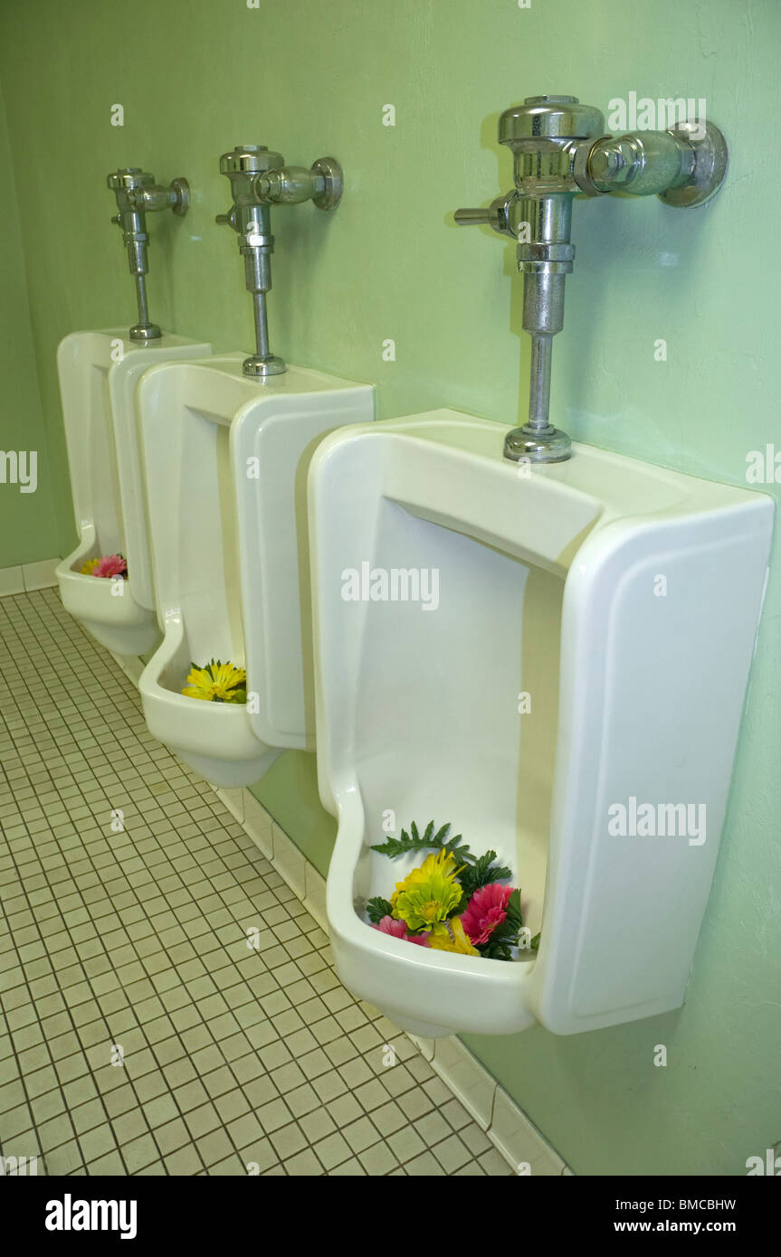 women take over men's bathroom and install flowers in urinals Stock Photo