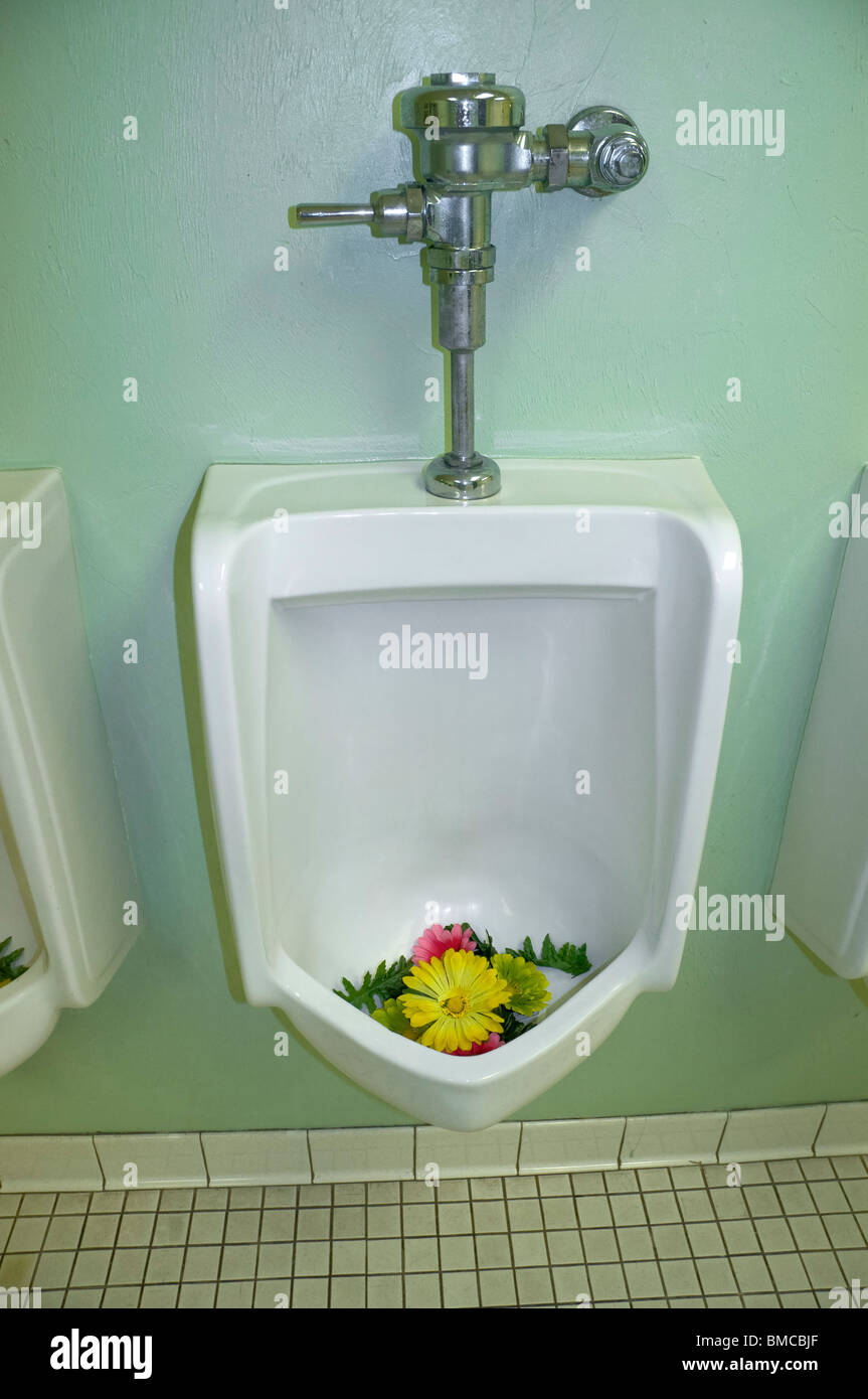 women take over men's bathroom and install flowers in urinals Stock Photo