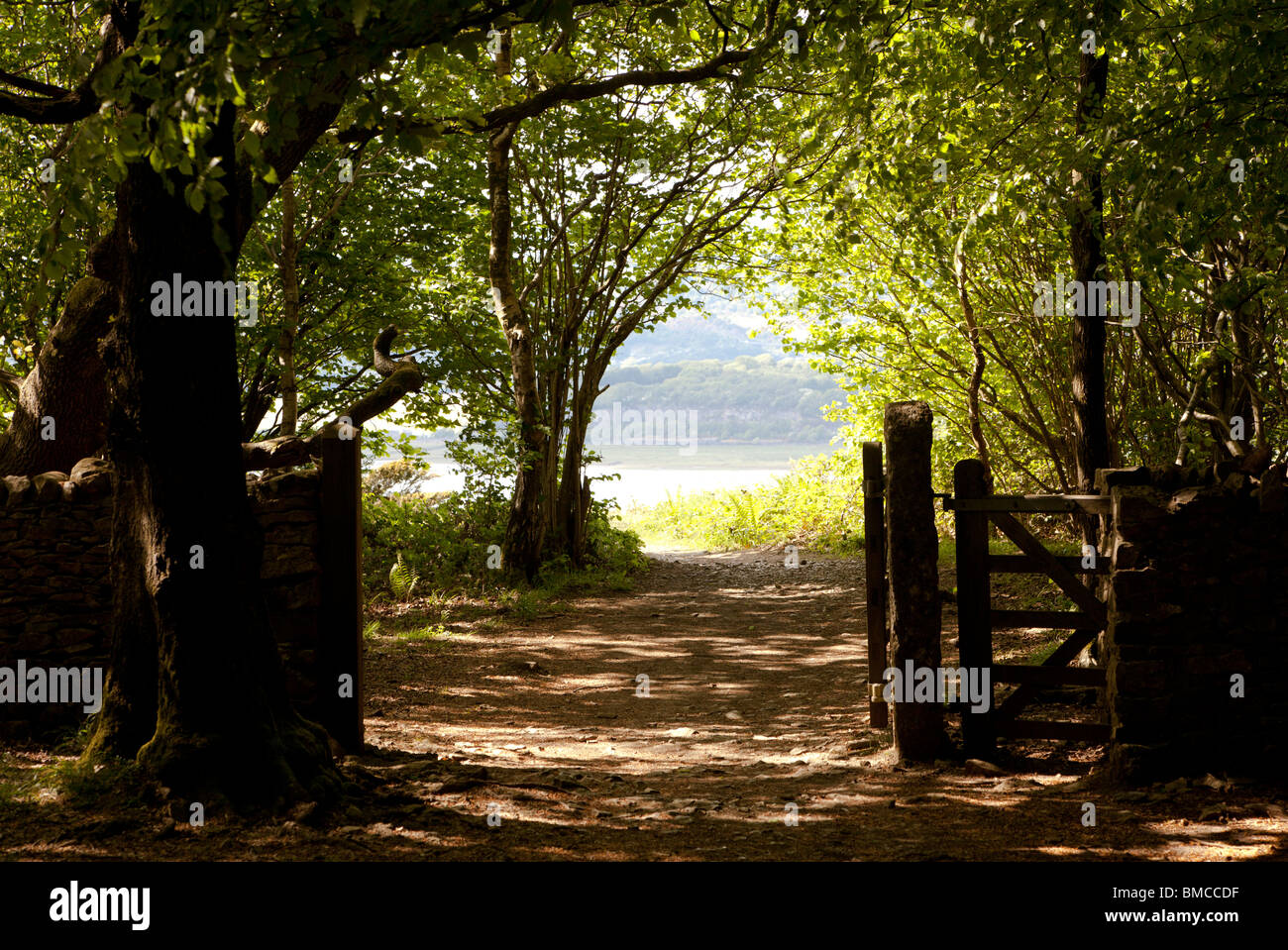 Path through gate on Arnside Knott, Cumbria. Stock Photo