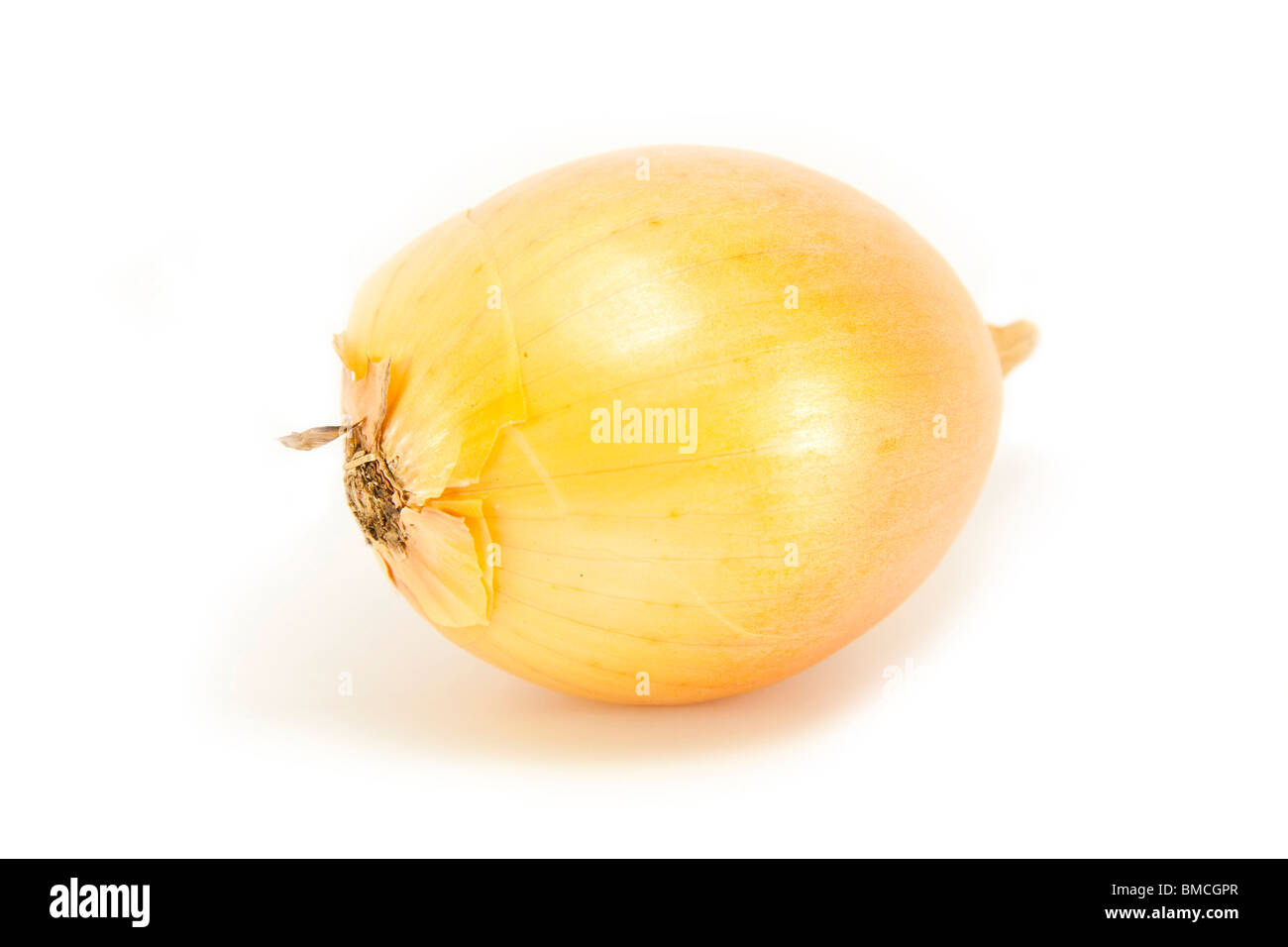 Whole Onion on white Stock Photo
