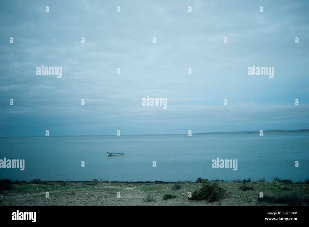 Boat, San Ignacio Lagoon, Baja, Mexico Stock Photo Alamy