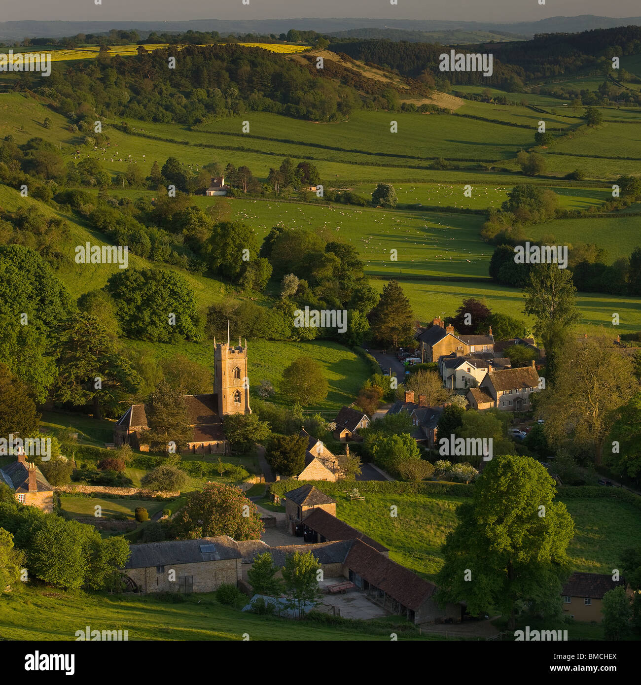 Evening light on Corton Denham village & church on the Somerset- Dorset border Stock Photo