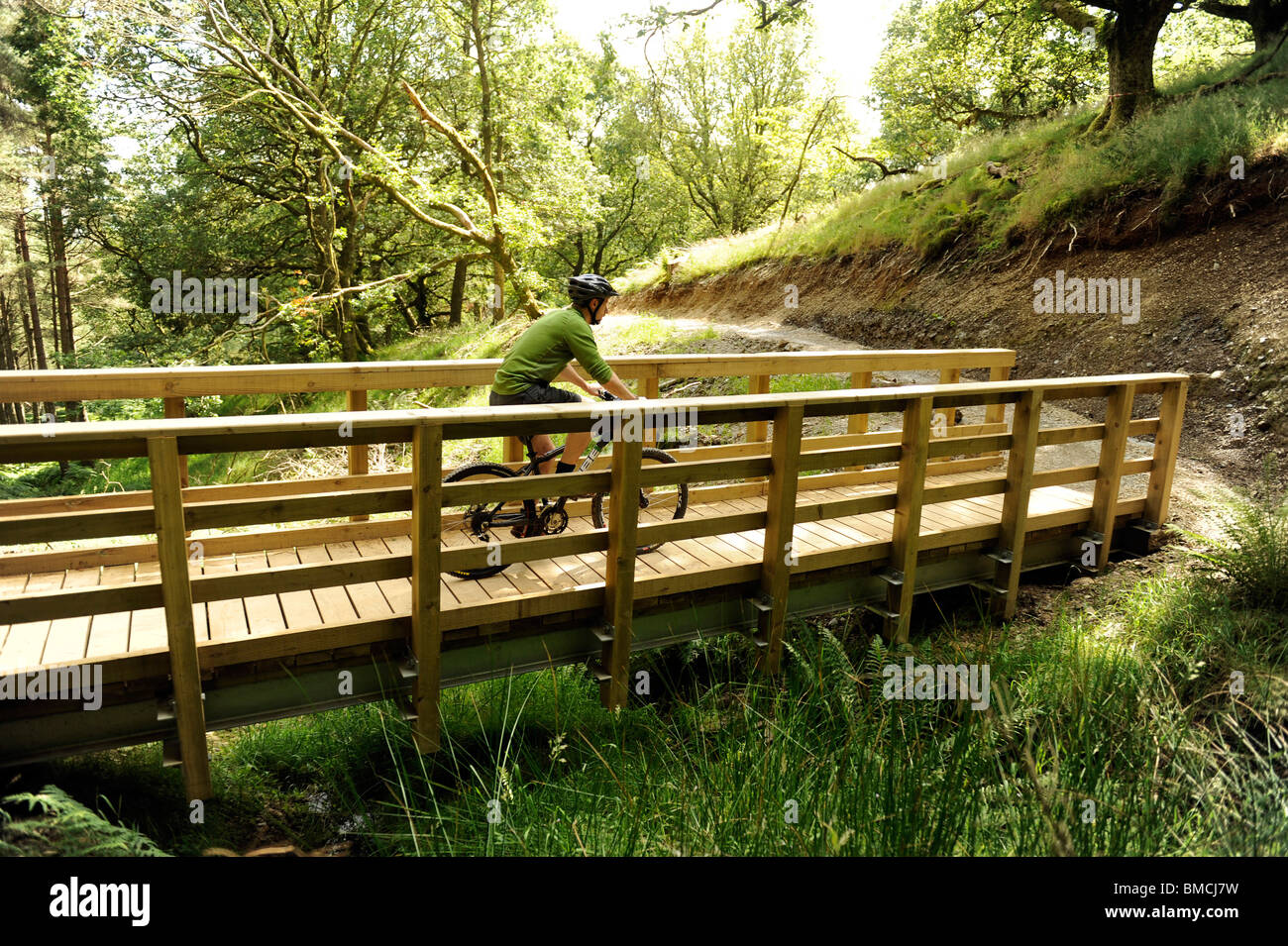 whinlatter mountain bike