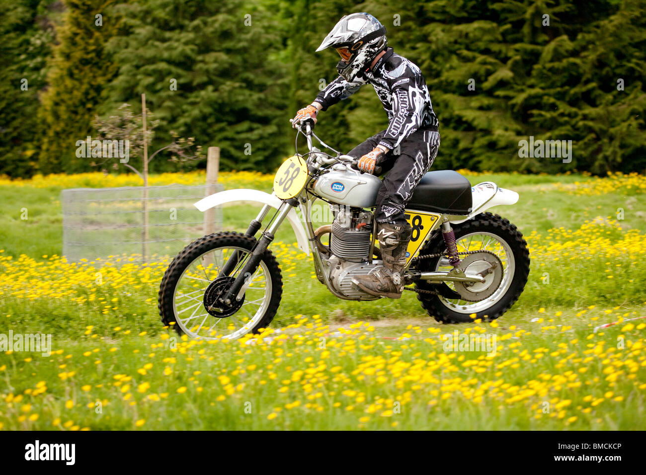 Classic motocross demo at the Barony College open day motorcycle racing through field of spring buttercups near Dumfries UK Stock Photo