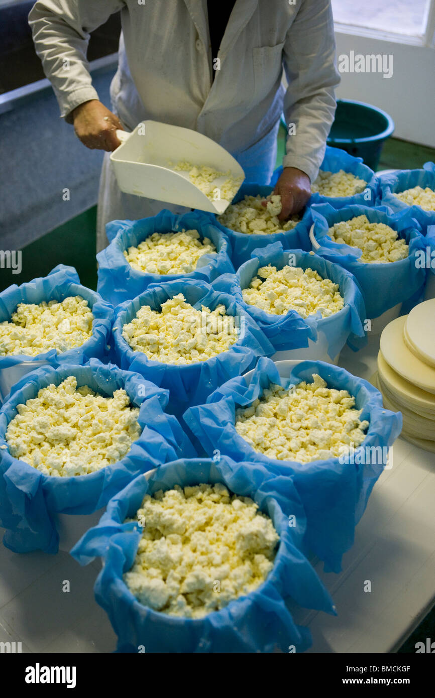 Cheese maker making traditional Single and Double Gloucester cheeses. Standish Park Farm