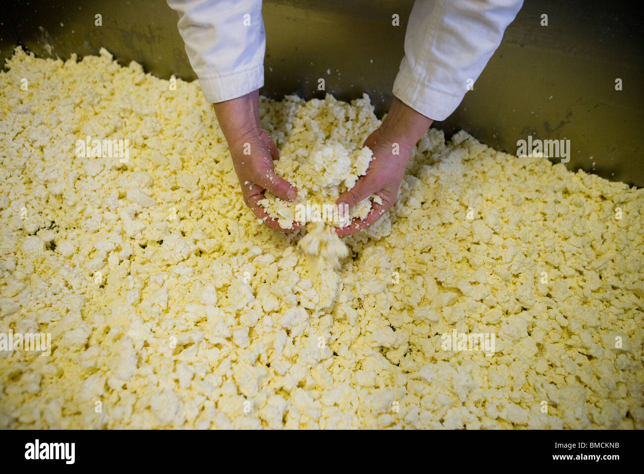 Cheese maker making traditional Single and Double Gloucester cheeses. Standish Park Farm