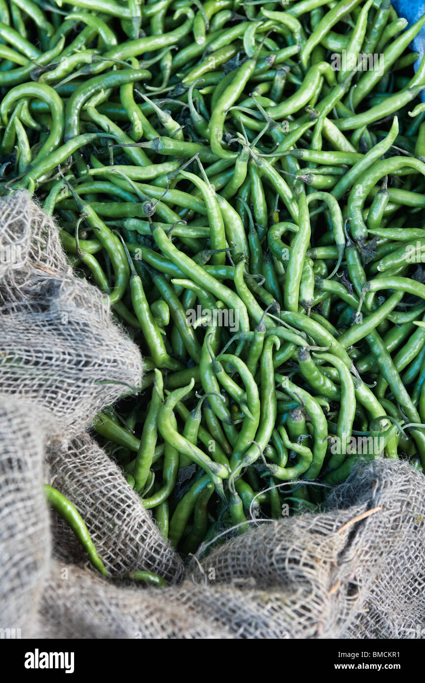 Burlap Sack of Indian Green Chilis at Market in Bangalore, Karnataka