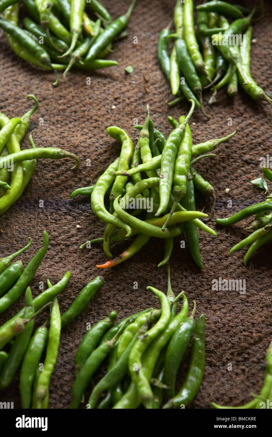 Indian Green Chilis at Market, India Stock Photo Alamy