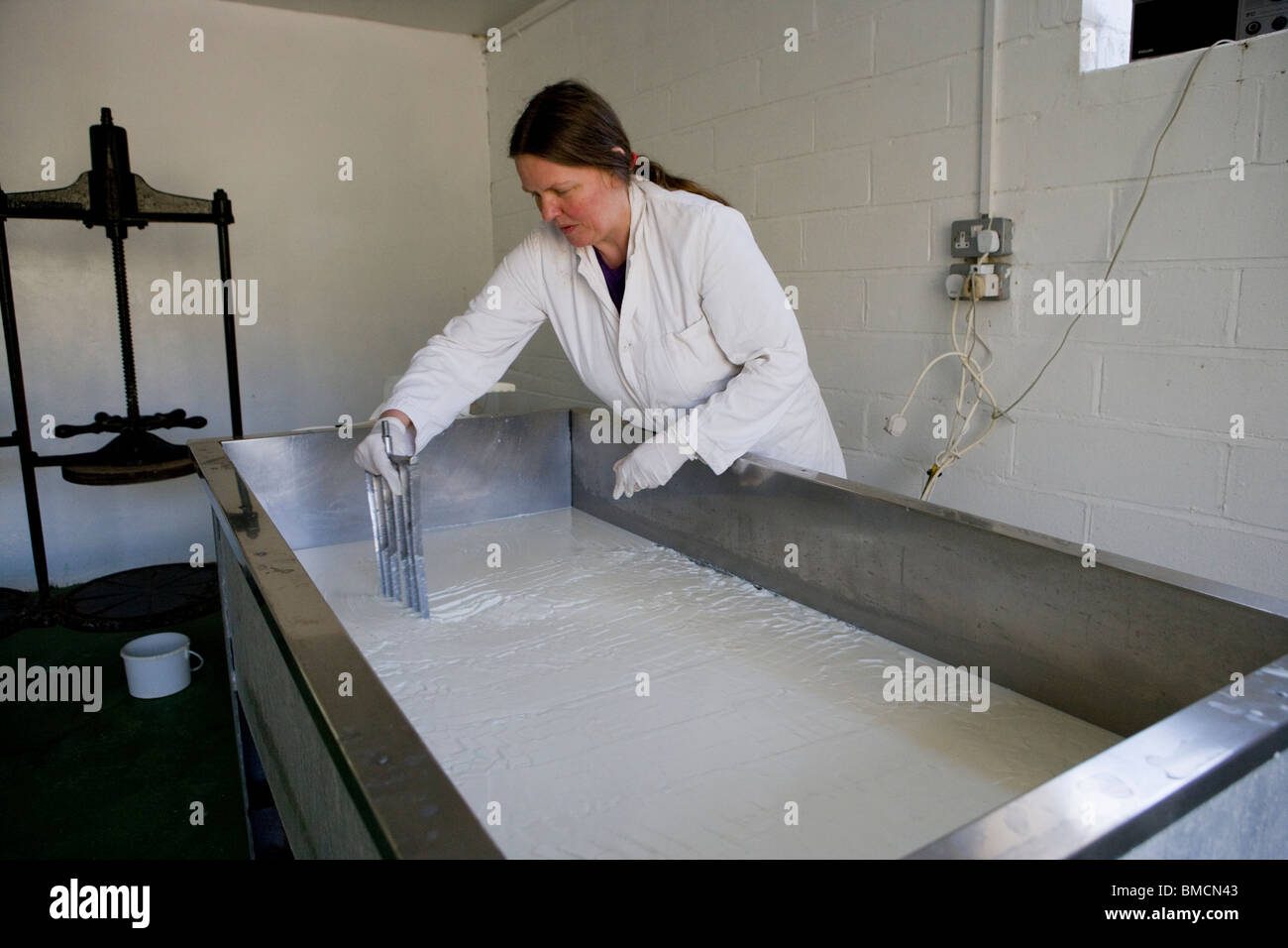 Cheese maker Jennie Ireland making traditional Single and Double