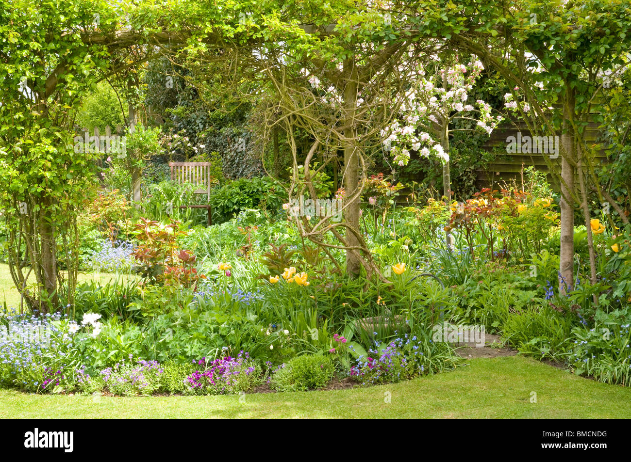 garden in spring Stock Photo Alamy