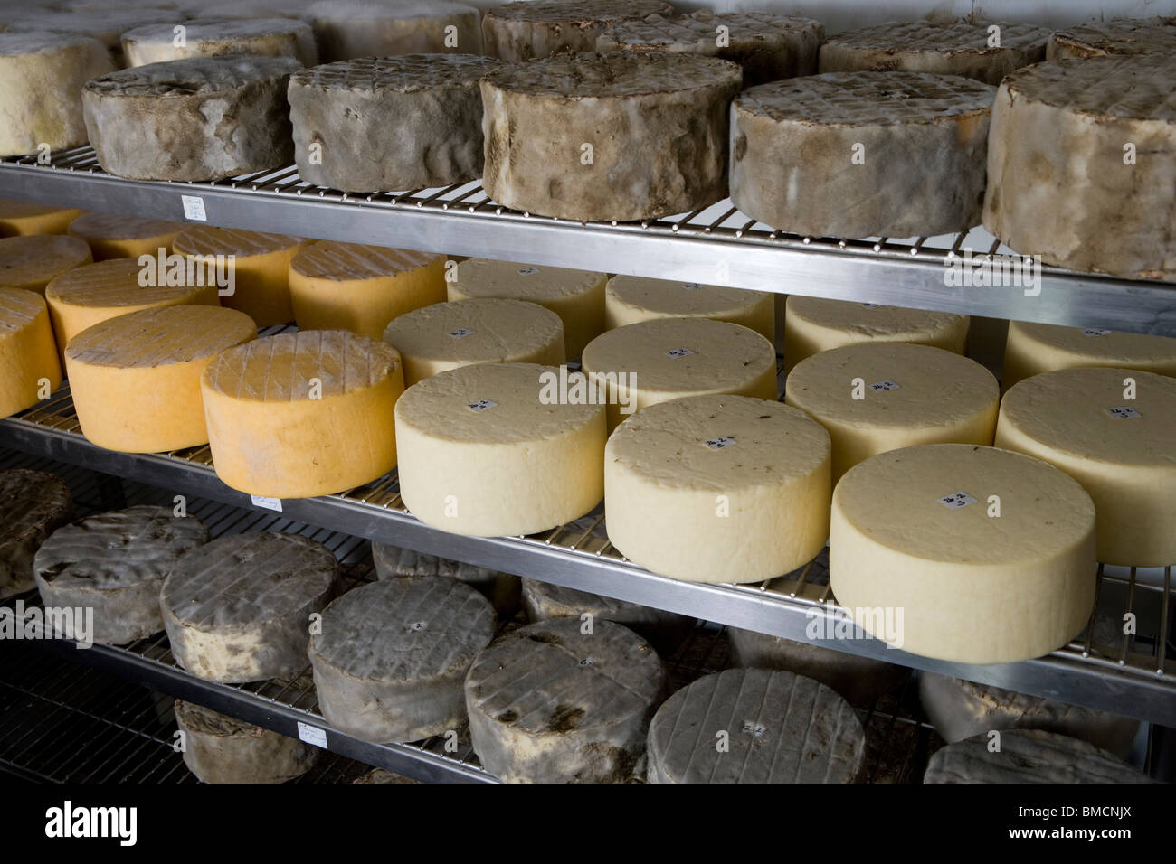 https://c8.alamy.com/comp/BMCNJX/handmade-single-and-double-gloucester-cheeses-in-a-cold-store-room-BMCNJX.jpg