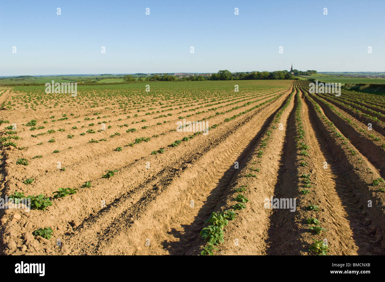 Ploudl Ploud field hi-res stock photography and images - Alamy