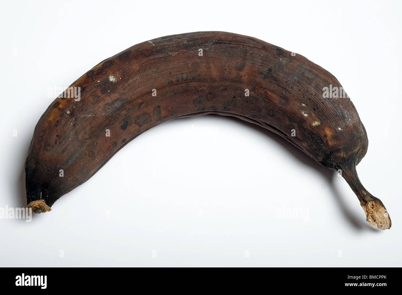 Rotting banana Stock Photo Alamy