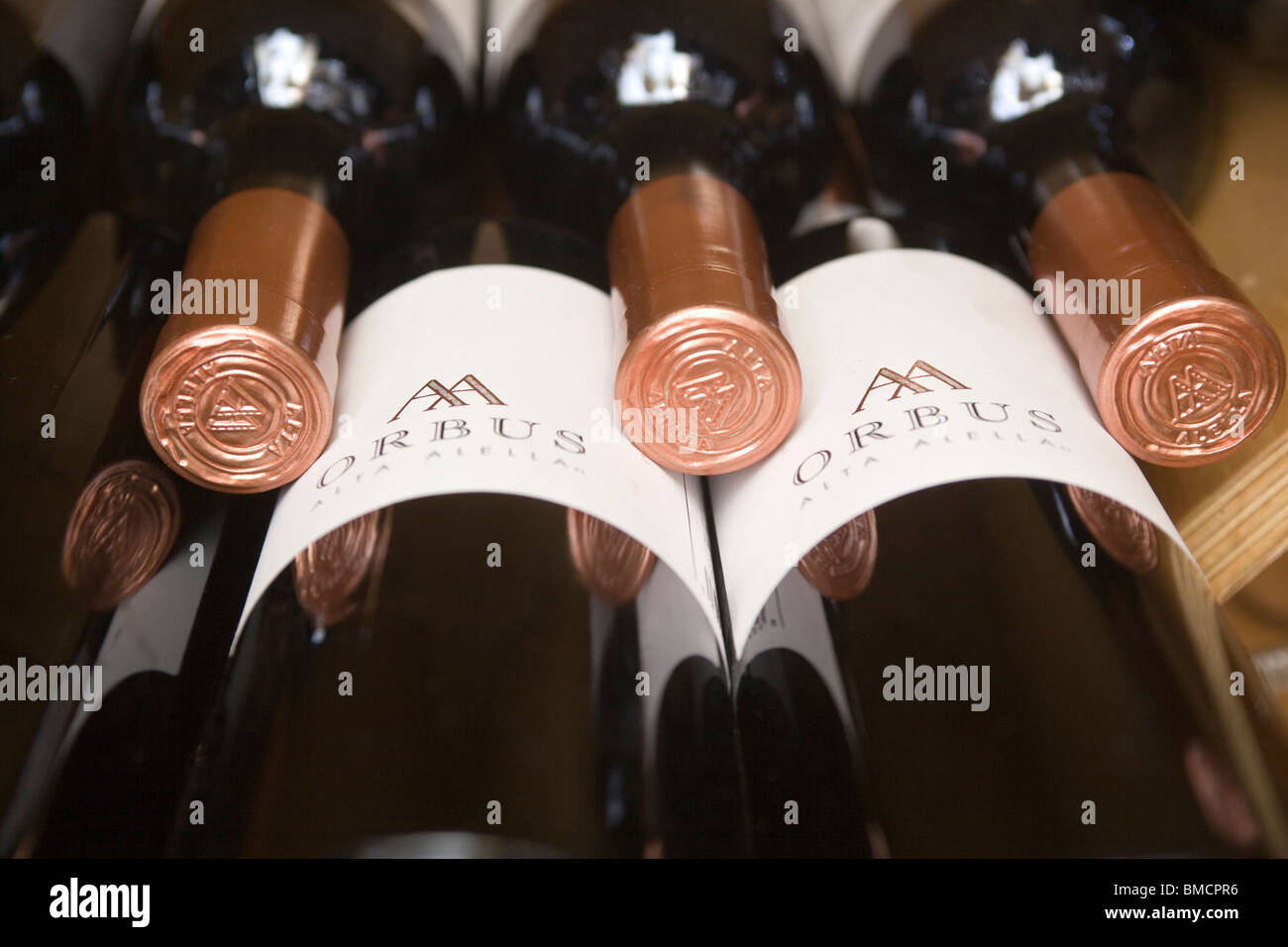 Spanish Wine Bottles in Cellar Stock Photo